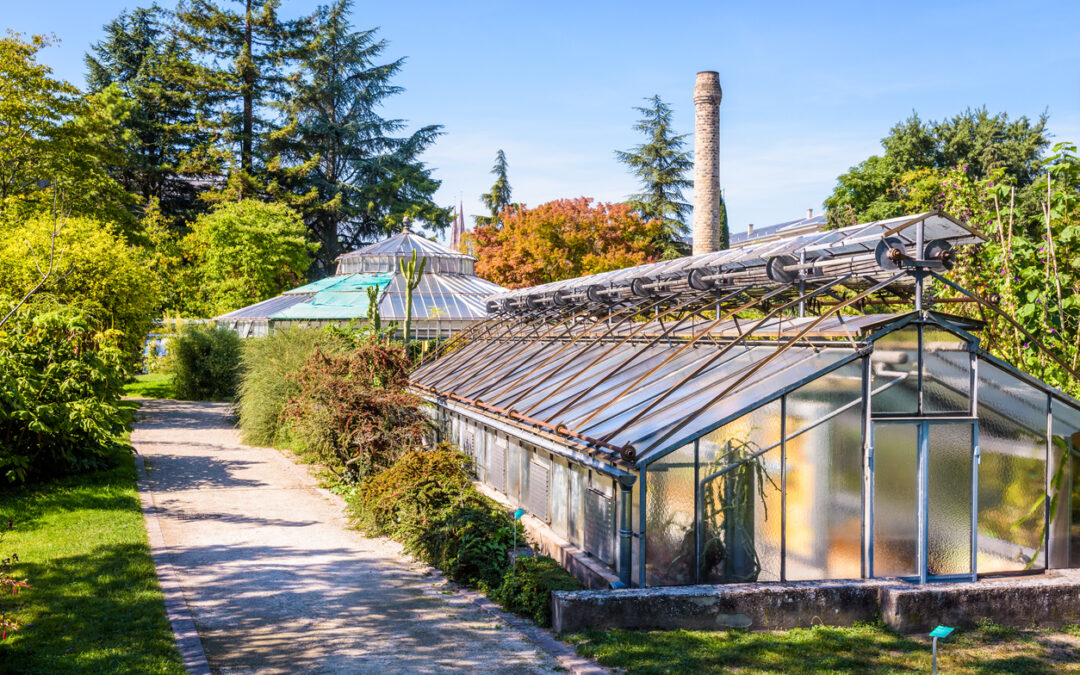 Hello Gardeners!